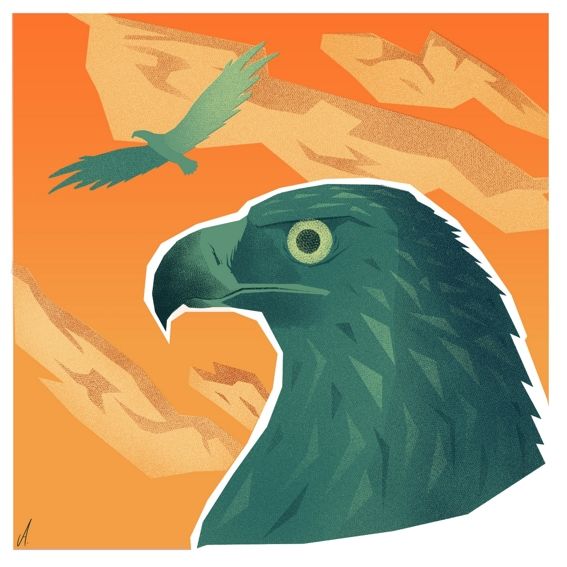 Águila