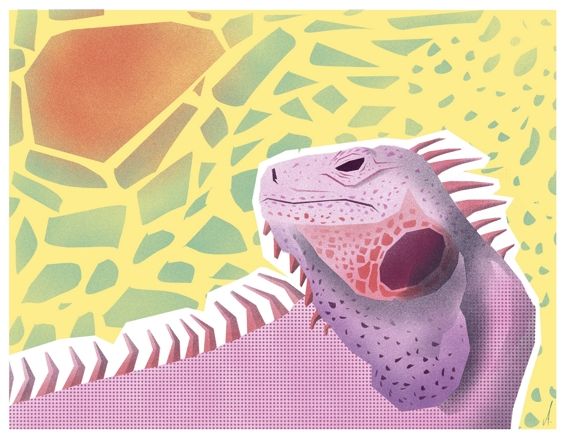 Iguana