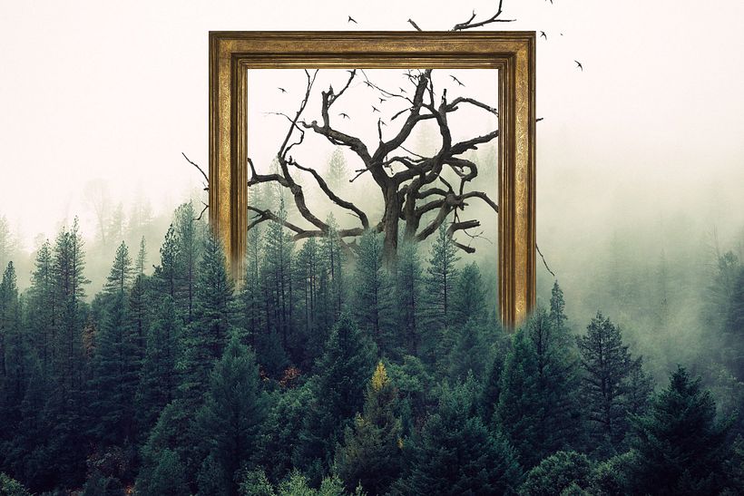 Ilustraciones 4