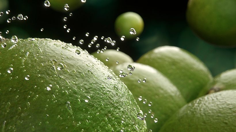 Zummo | Taste the difference 13