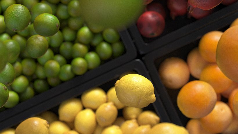 Zummo | Taste the difference 3