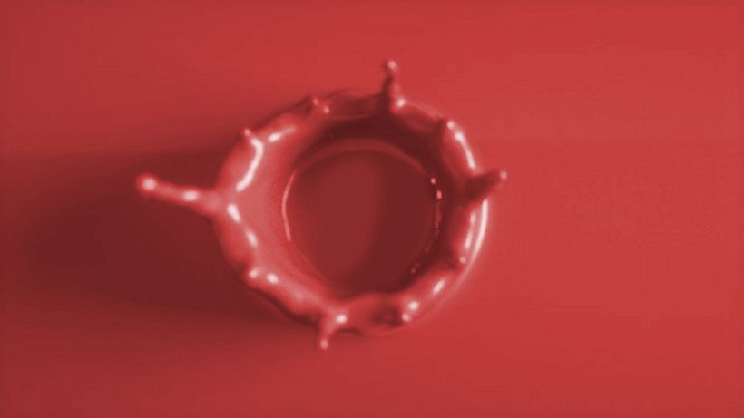 Zummo | Taste the difference 8