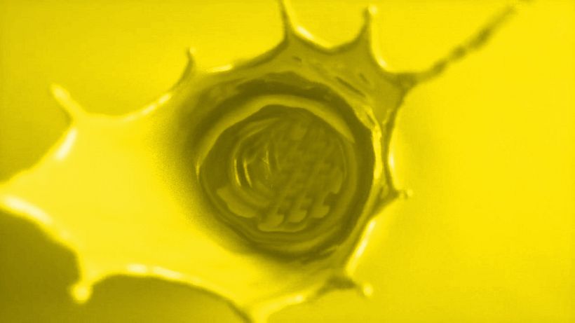 Zummo | Taste the difference 10