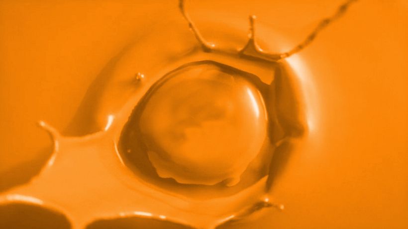 Zummo | Taste the difference 11