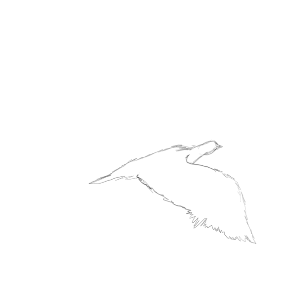 Mi primer animación en rough cuadro a cuadro con Photoshop. 0
