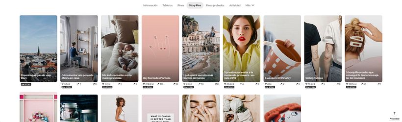 Feed de Story Pins de Mercedes Valgañón
