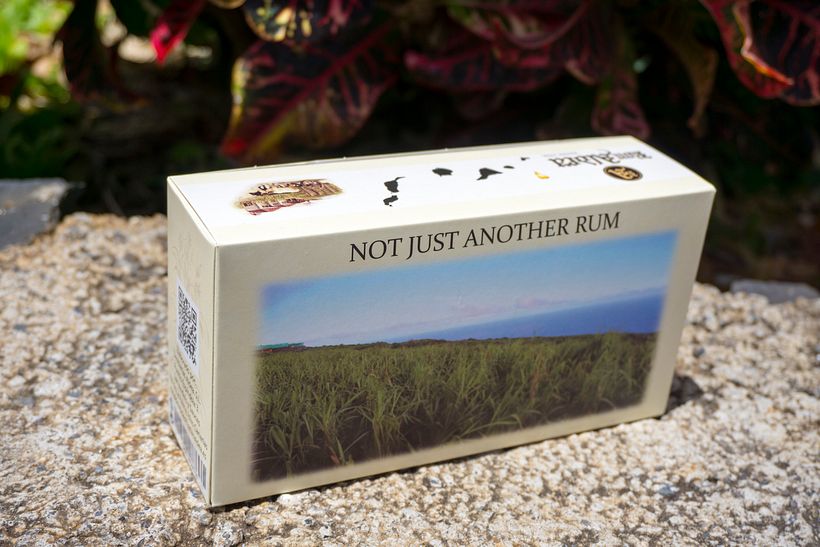 Vista de la parte posterior