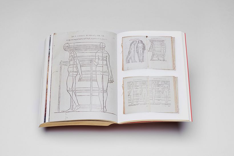 Signum — Katalog- und Ausstellungsgestaltung 25