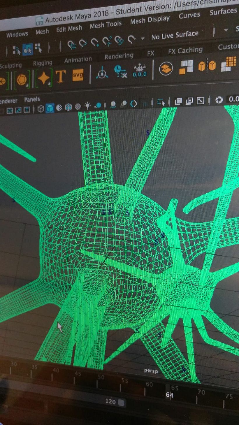 problema con maya autodesk 2