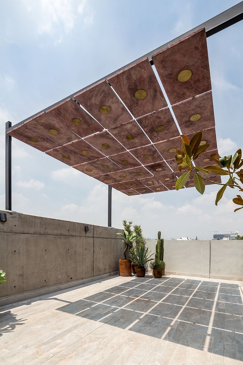 Terraza Escandon 1