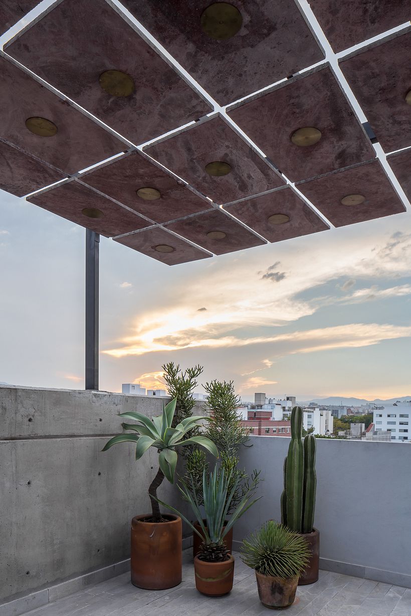 Terraza Escandon 6