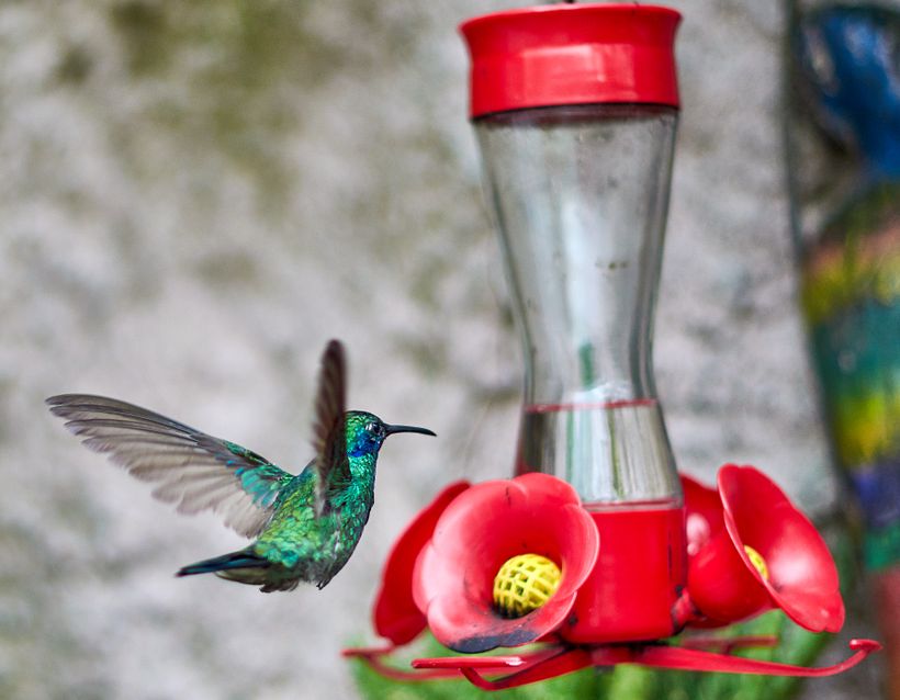 Fotografias Sueltas 1