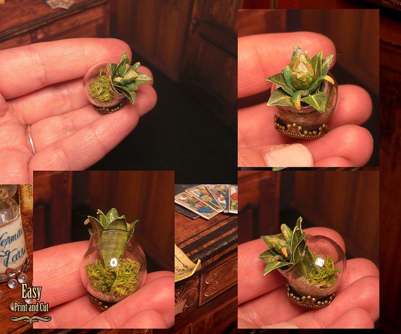 Miniatures scale : 12 th 6