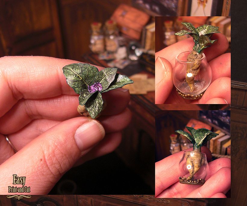 Miniatures scale : 12 th 9