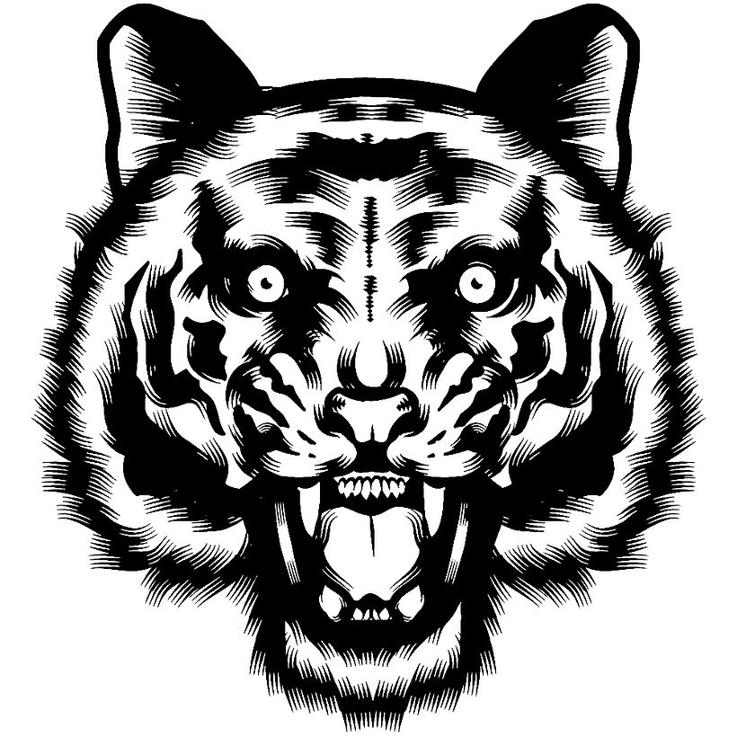 Illustrator Brushes Test 0