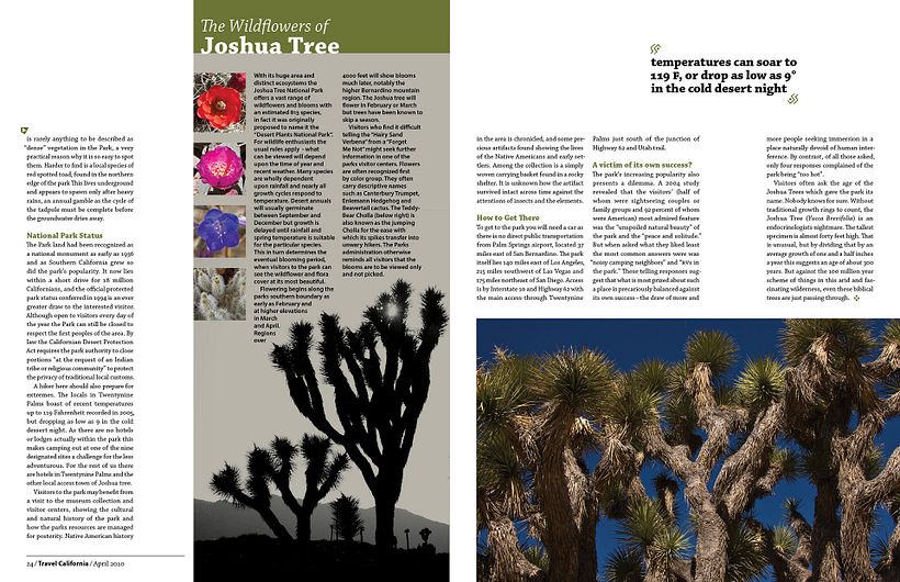 Maquetación Joshua Tree Magazine 2