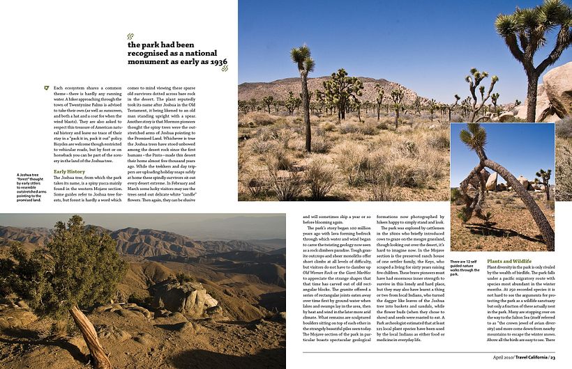 Maquetación Joshua Tree Magazine 4