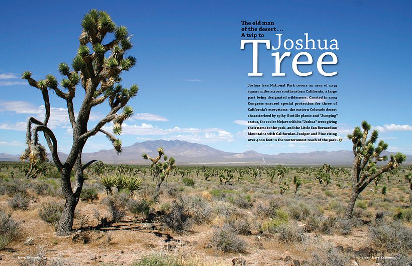 Maquetación Joshua Tree Magazine 0