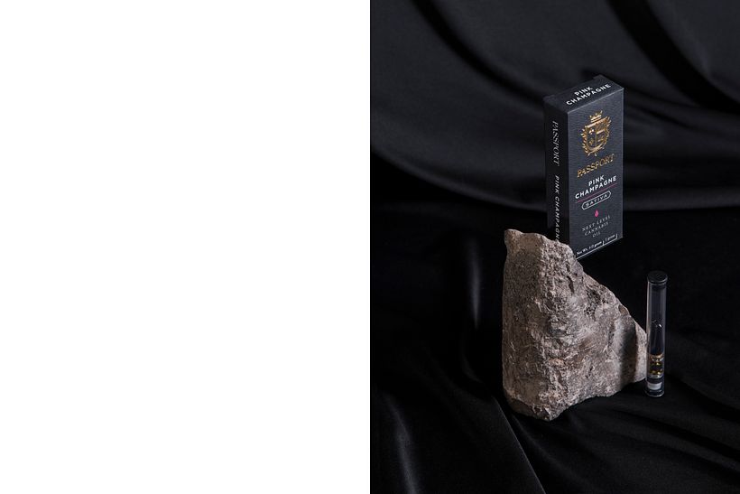Passport 3