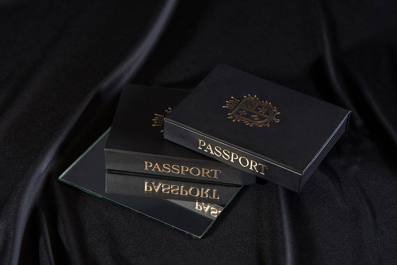 Passport 6