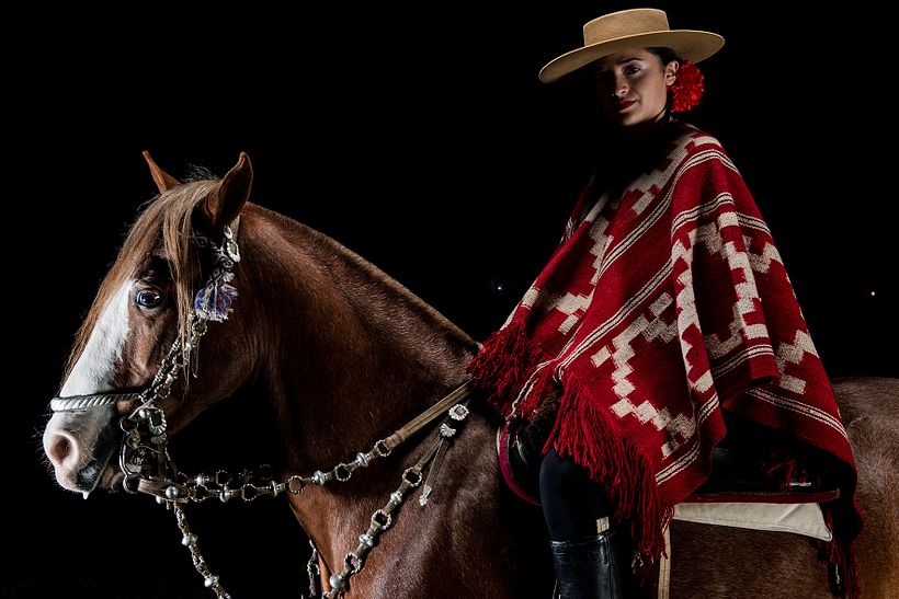 CABALLOS DE ESTUDIO 0