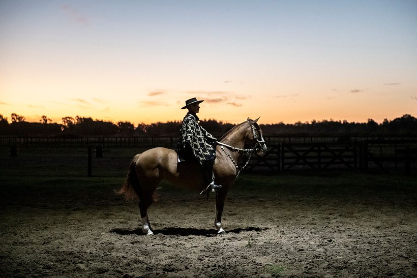 CABALLOS DE ESTUDIO 7