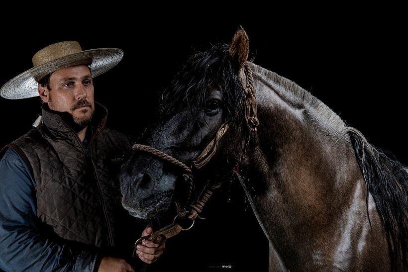 CABALLOS DE ESTUDIO 8