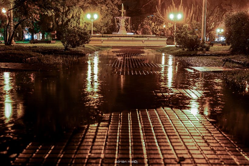 CAMINANDO Y OBTURANDO  - Fotografie