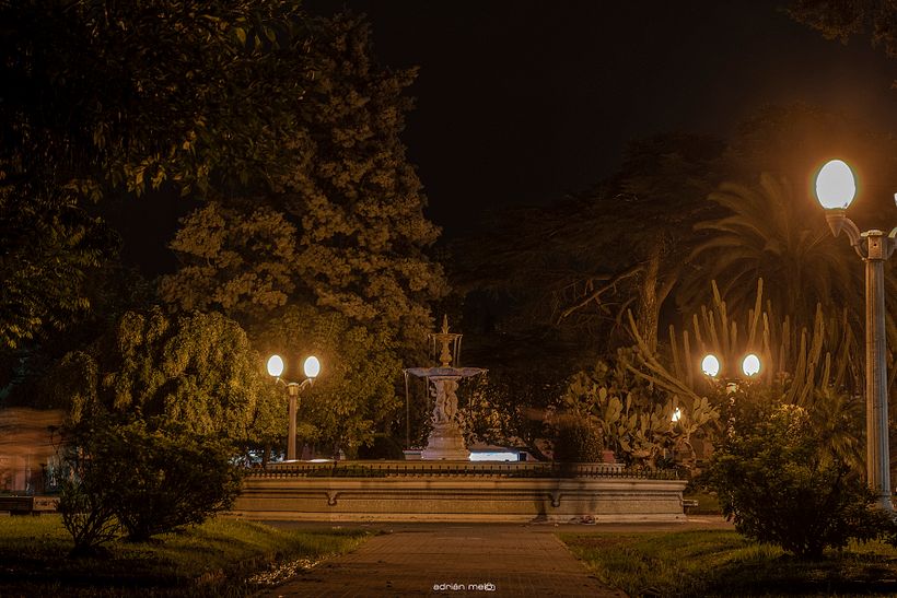 CAMINANDO Y OBTURANDO  - Fotografie