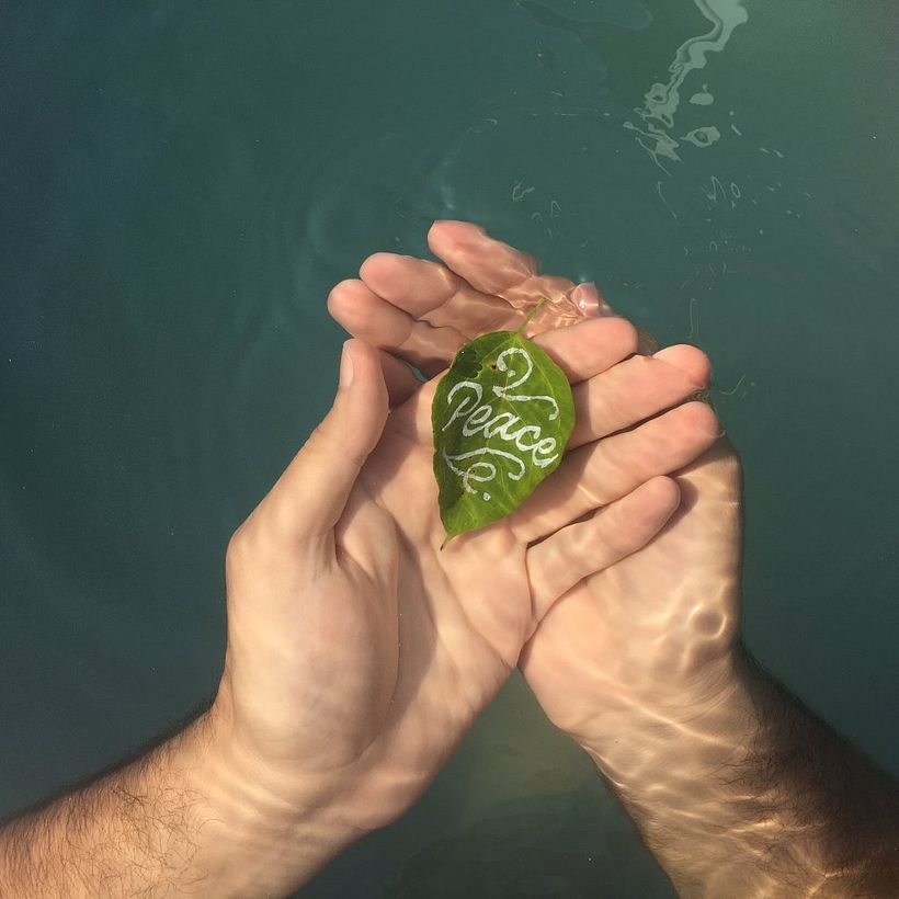 "Peace" sobre una hoja, tomamos la foto en una alberca de Puerto Vallarta