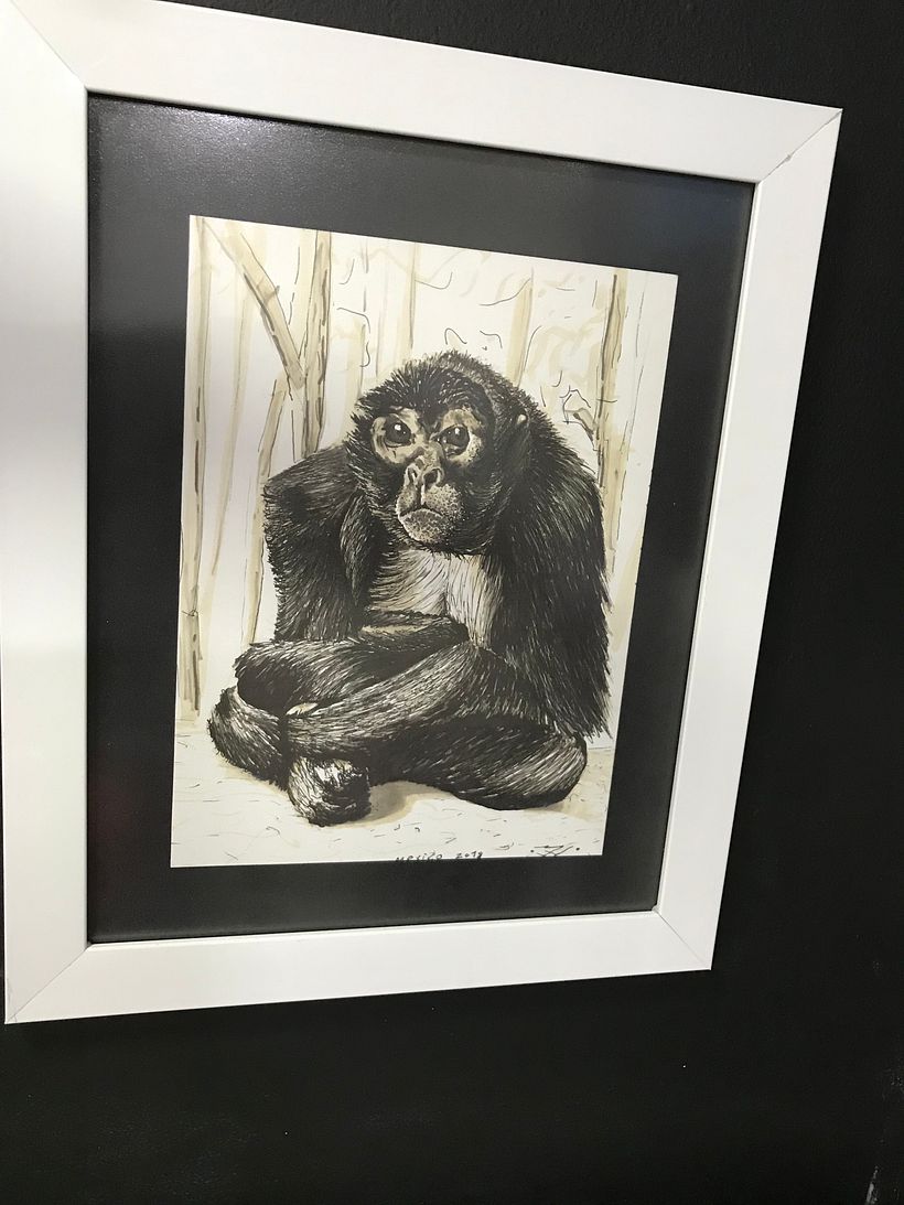 Visto en el zoológico de Chapultepec, México city 