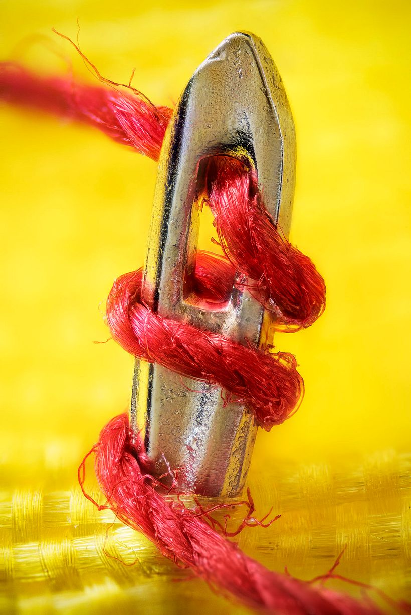 Agujas (macro extremo) -1
