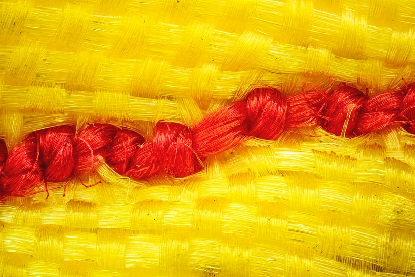 Agujas (macro extremo) 1