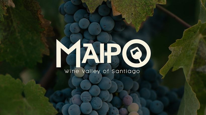Marca Valle del Maipo 2