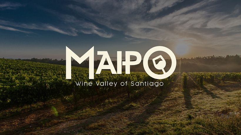 Marca Valle del Maipo 3
