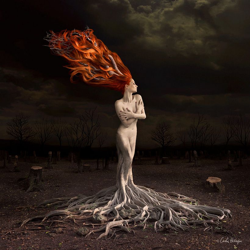 "Naturaleza" Obra para venta de edición limitada (Obra finalista-7o lugar- de la Copa Mundial de fotografía 2017) -1