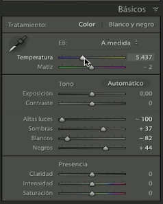 Tabla de herramientas de Básicos con los ajustes ya incorporados