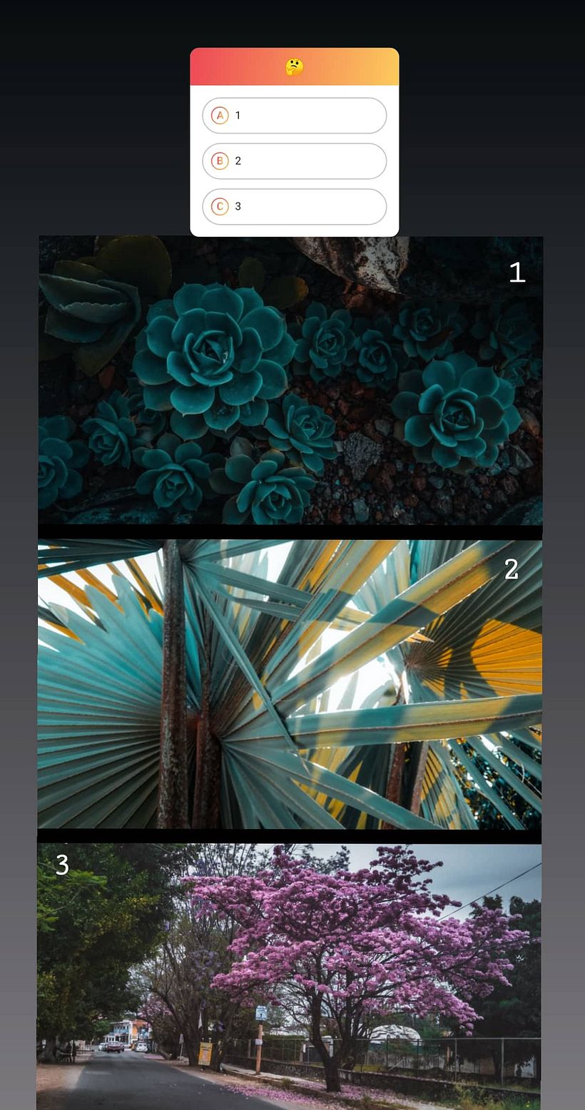 Diseño de Instagram Stories para proyecto fotográfico  3