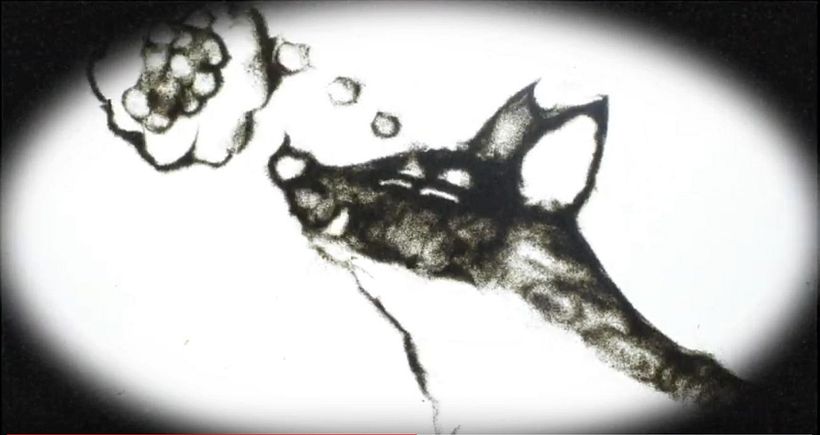 Ensayo para "La zorra y las uvas" 2