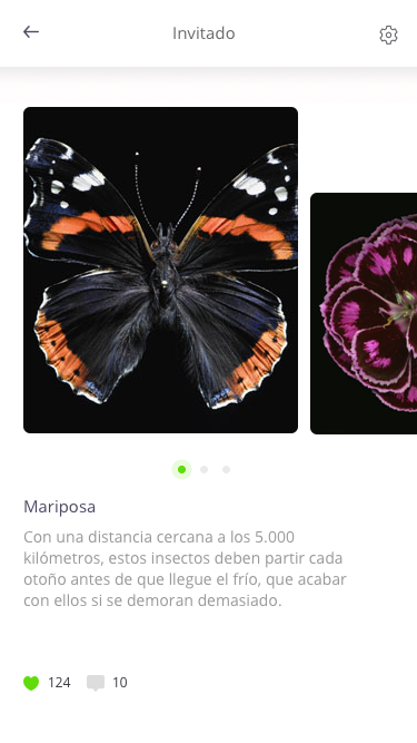 Seres & Bichos App 3
