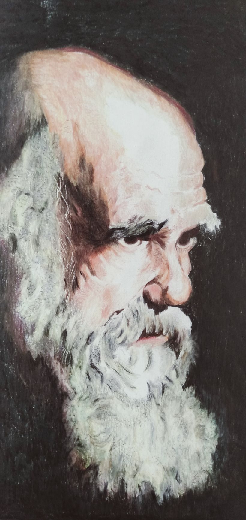 Dibujo realista de Darwin 0