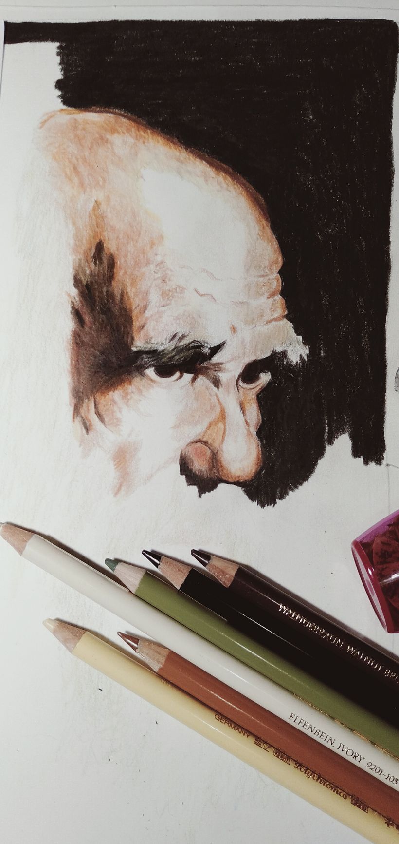 Dibujo realista de Darwin 2