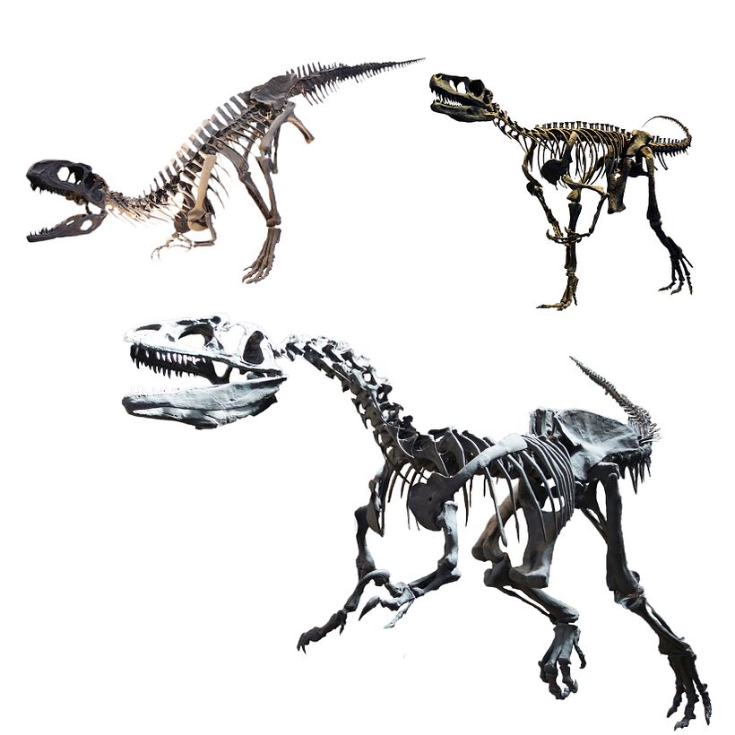 Mi Proyecto del curso: Matte Painting: creando mundos fotorrealistas - CARAVAN 6