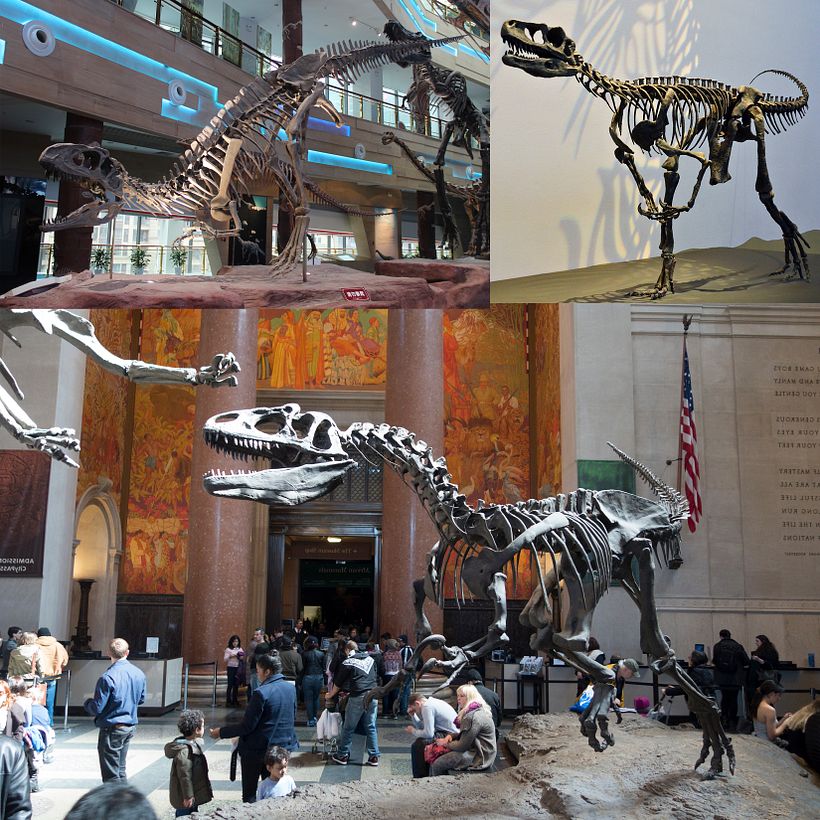 Mi Proyecto del curso: Matte Painting: creando mundos fotorrealistas - CARAVAN 5