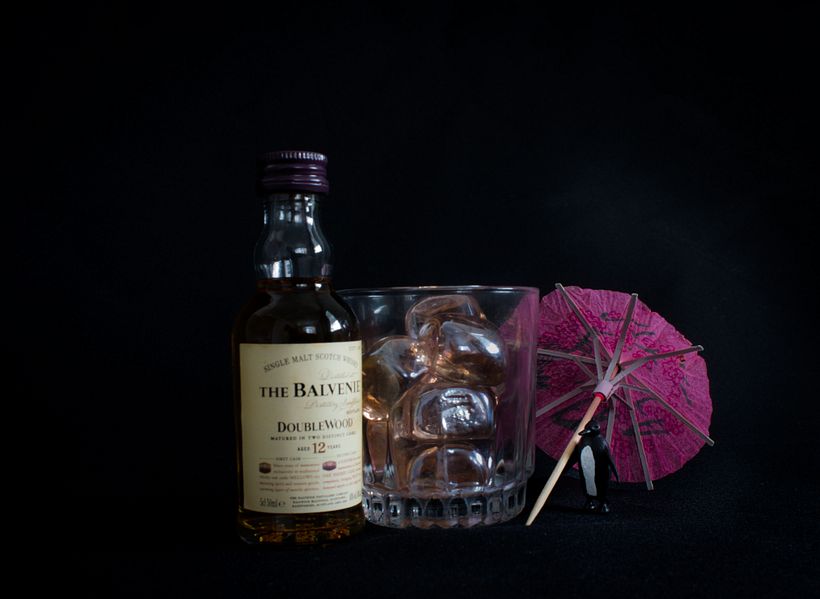 Pinguino de vacaciones