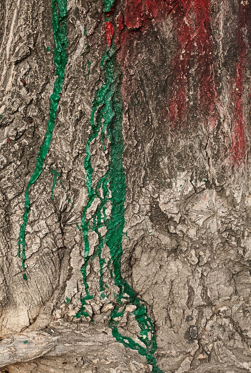 Desquite II 10