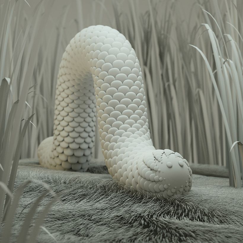 Wormderland  1