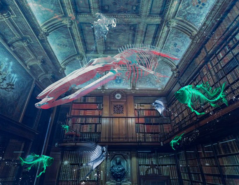 Library Whale 1