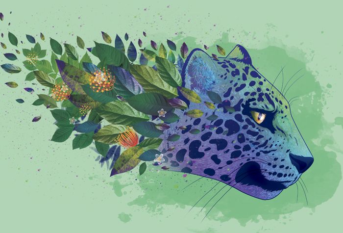 art direction: Patricio Arevalo - Alma.