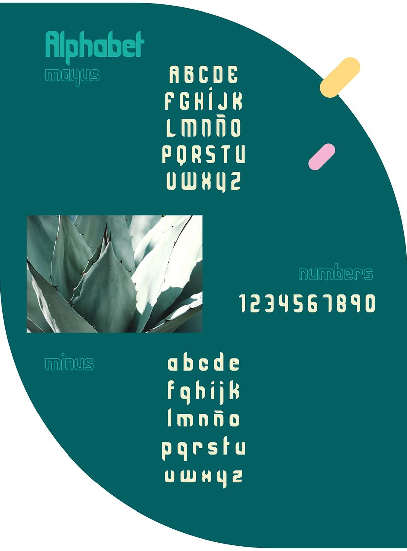 Minimalist suculenta: modular typography 2